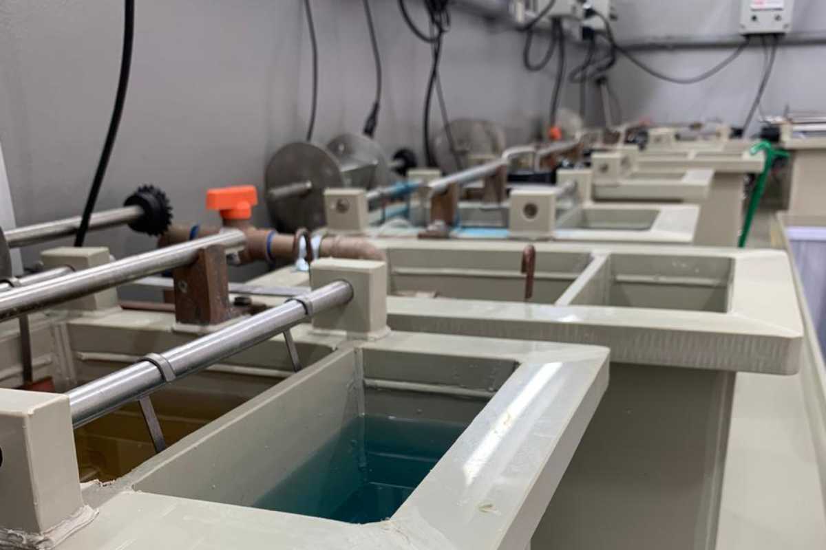 Passo a Passo de Cada Processo